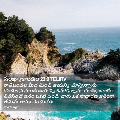 సంఖ్యాకాండం 23:9 TELIRV Bible Verse Image