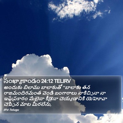 సంఖ్యాకాండం 24:12 TELIRV Bible Verse Image