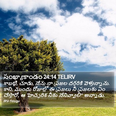 సంఖ్యాకాండం 24:14 TELIRV Bible Verse Image