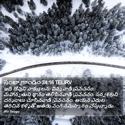 సంఖ్యాకాండం 24:16 TELIRV Bible Verse Image