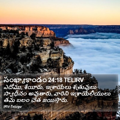 సంఖ్యాకాండం 24:18 TELIRV Bible Verse Image