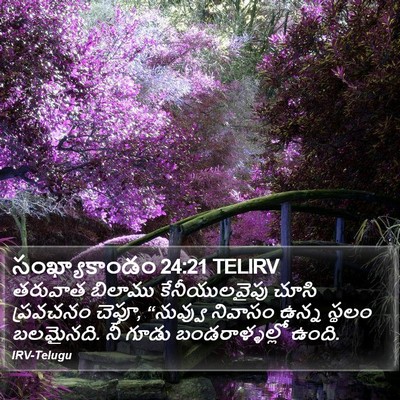 సంఖ్యాకాండం 24:21 TELIRV Bible Verse Image