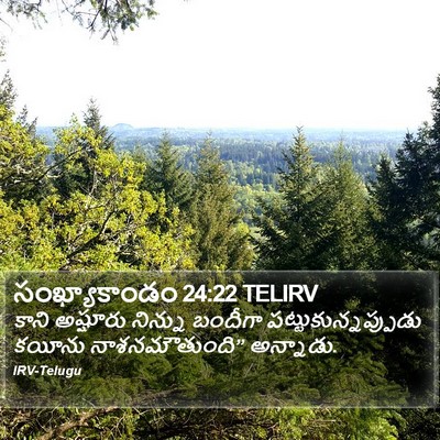 సంఖ్యాకాండం 24:22 TELIRV Bible Verse Image
