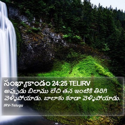 సంఖ్యాకాండం 24:25 TELIRV Bible Verse Image
