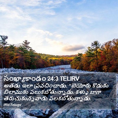 సంఖ్యాకాండం 24:3 TELIRV Bible Verse Image