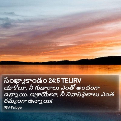 సంఖ్యాకాండం 24:5 TELIRV Bible Verse Image