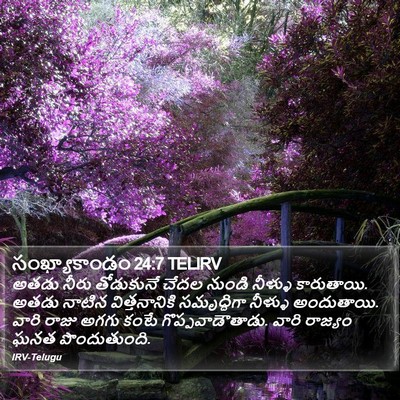సంఖ్యాకాండం 24:7 TELIRV Bible Verse Image