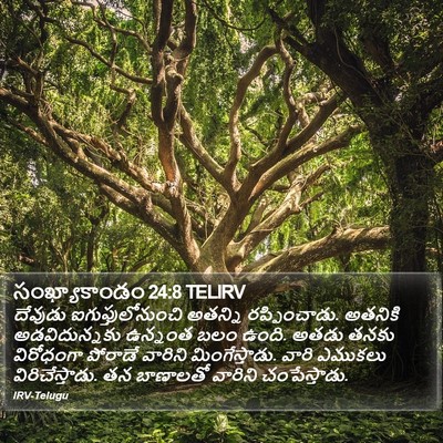 సంఖ్యాకాండం 24:8 TELIRV Bible Verse Image