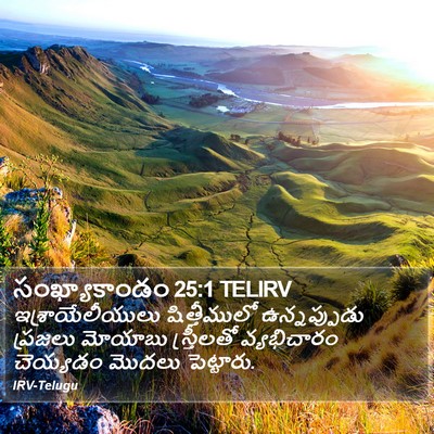 సంఖ్యాకాండం 25:1 TELIRV Bible Verse Image