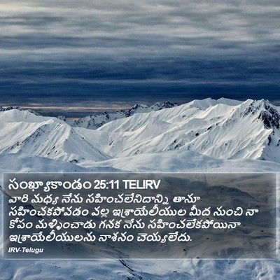సంఖ్యాకాండం 25:11 TELIRV Bible Verse Image
