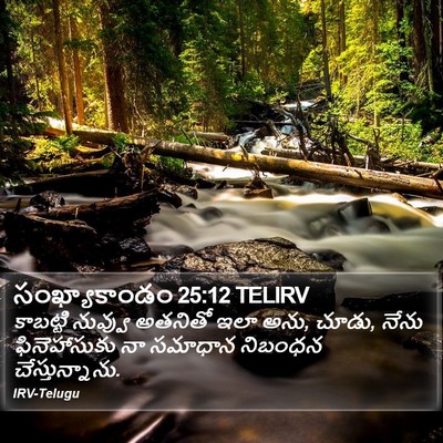 సంఖ్యాకాండం 25:12 TELIRV Bible Verse Image