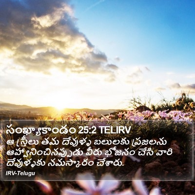 సంఖ్యాకాండం 25:2 TELIRV Bible Verse Image