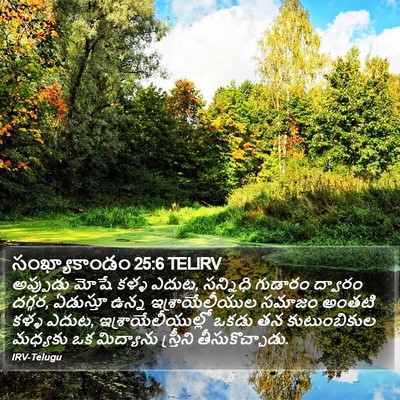 సంఖ్యాకాండం 25:6 TELIRV Bible Verse Image