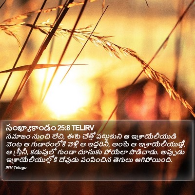 సంఖ్యాకాండం 25:8 TELIRV Bible Verse Image