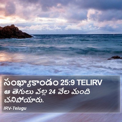 సంఖ్యాకాండం 25:9 TELIRV Bible Verse Image