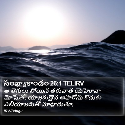 సంఖ్యాకాండం 26:1 TELIRV Bible Verse Image