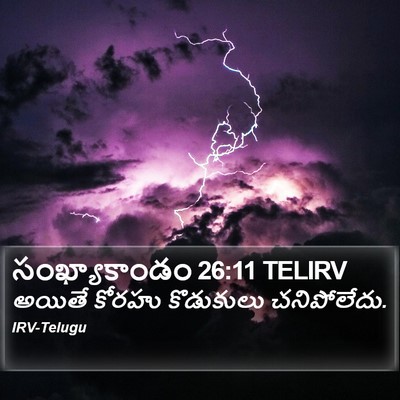 సంఖ్యాకాండం 26:11 TELIRV Bible Verse Image