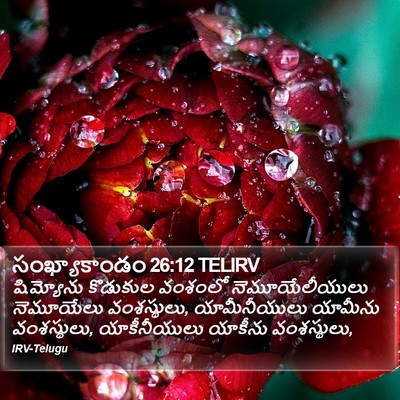 సంఖ్యాకాండం 26:12 TELIRV Bible Verse Image