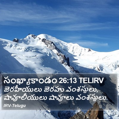 సంఖ్యాకాండం 26:13 TELIRV Bible Verse Image