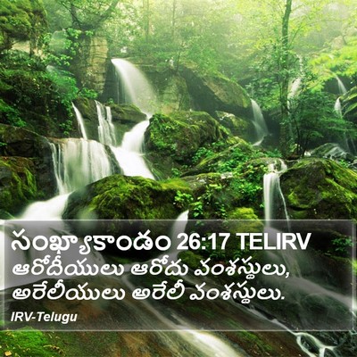 సంఖ్యాకాండం 26:17 TELIRV Bible Verse Image