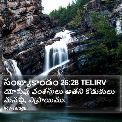 సంఖ్యాకాండం 26:28 TELIRV Bible Verse Image