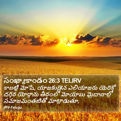 సంఖ్యాకాండం 26:3 TELIRV Bible Verse Image