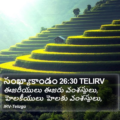 సంఖ్యాకాండం 26:30 TELIRV Bible Verse Image