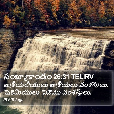 సంఖ్యాకాండం 26:31 TELIRV Bible Verse Image