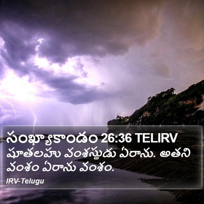 సంఖ్యాకాండం 26:36 TELIRV Bible Verse Image