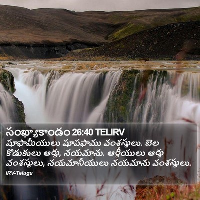 సంఖ్యాకాండం 26:40 TELIRV Bible Verse Image