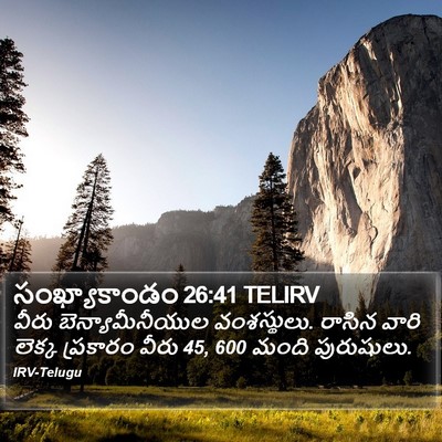 సంఖ్యాకాండం 26:41 TELIRV Bible Verse Image