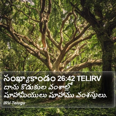 సంఖ్యాకాండం 26:42 TELIRV Bible Verse Image