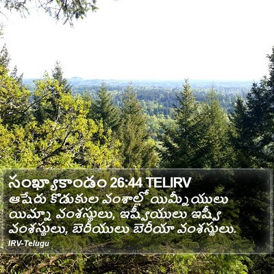 సంఖ్యాకాండం 26:44 TELIRV Bible Verse Image
