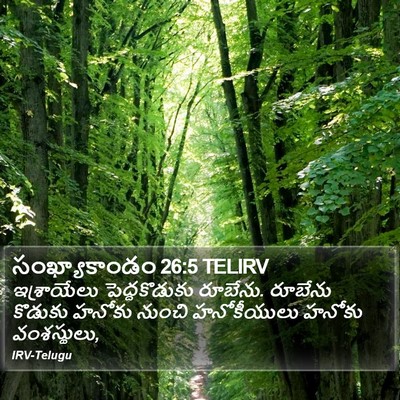 సంఖ్యాకాండం 26:5 TELIRV Bible Verse Image