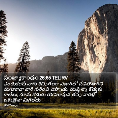 సంఖ్యాకాండం 26:65 TELIRV Bible Verse Image