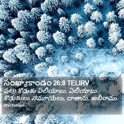 సంఖ్యాకాండం 26:8 TELIRV Bible Verse Image