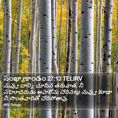 సంఖ్యాకాండం 27:13 TELIRV Bible Verse Image