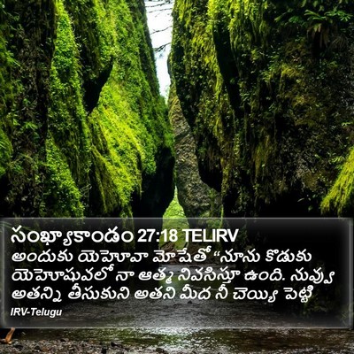 సంఖ్యాకాండం 27:18 TELIRV Bible Verse Image