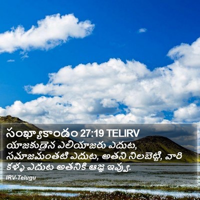 సంఖ్యాకాండం 27:19 TELIRV Bible Verse Image
