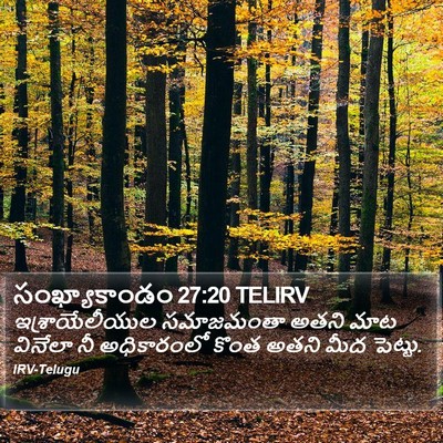 సంఖ్యాకాండం 27:20 TELIRV Bible Verse Image