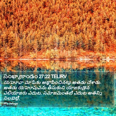 సంఖ్యాకాండం 27:22 TELIRV Bible Verse Image