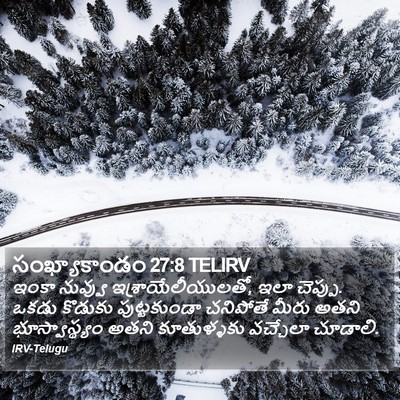 సంఖ్యాకాండం 27:8 TELIRV Bible Verse Image