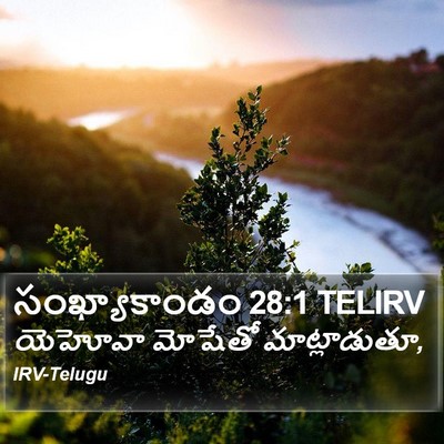 సంఖ్యాకాండం 28:1 TELIRV Bible Verse Image