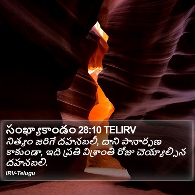 సంఖ్యాకాండం 28:10 TELIRV Bible Verse Image