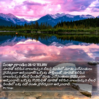 సంఖ్యాకాండం 28:12 TELIRV Bible Verse Image