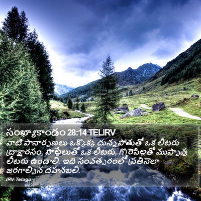 సంఖ్యాకాండం 28:14 TELIRV Bible Verse Image