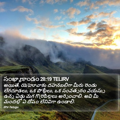 సంఖ్యాకాండం 28:19 TELIRV Bible Verse Image