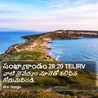సంఖ్యాకాండం 28:20 TELIRV Bible Verse Image