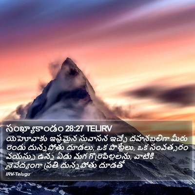 సంఖ్యాకాండం 28:27 TELIRV Bible Verse Image