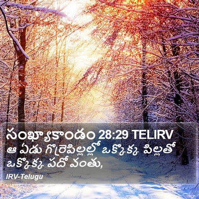 సంఖ్యాకాండం 28:29 TELIRV Bible Verse Image
